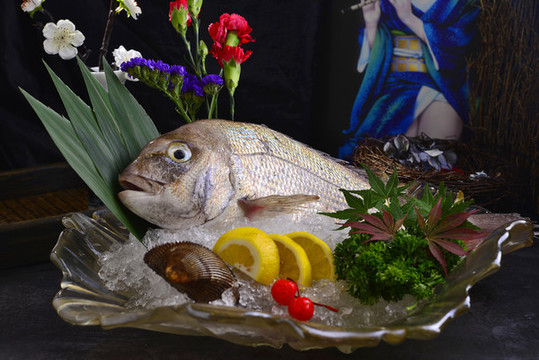 鯛魚姿造