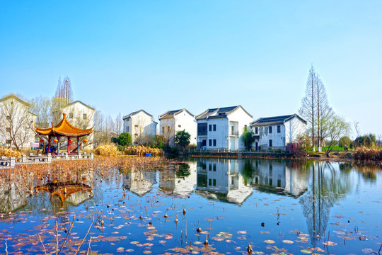 南京江寧楊柳村