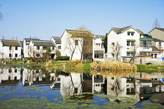 南京江寧楊柳村