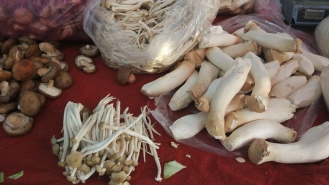 菇類