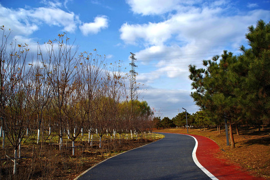 馬駒橋濕地公園
