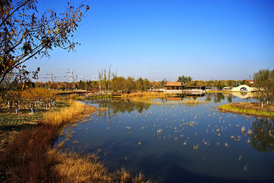 張家灣公園