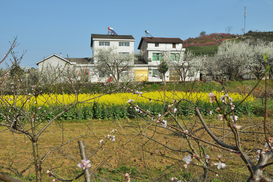 春天風(fēng)景