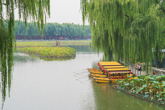 北京北海公園旅游景點和自然風光