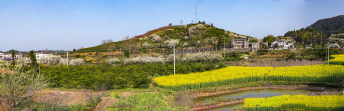 春天風(fēng)景