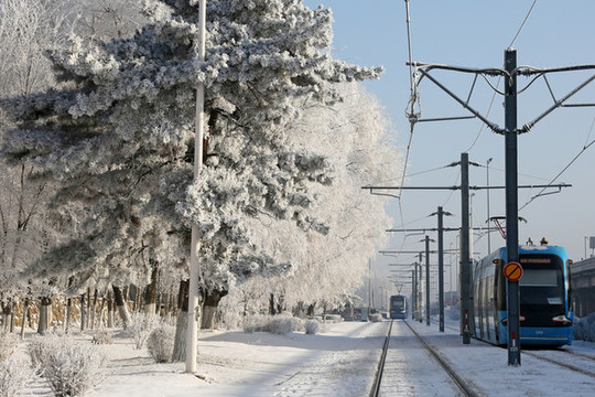 霧凇中的有軌電車