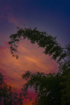 夕陽