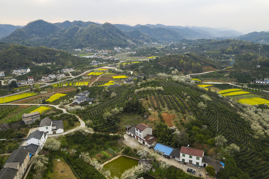 湖北宜昌架鍋山村春天風(fēng)光