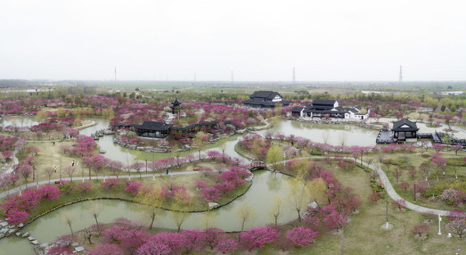 江蘇省鹽城市大豐梅花灣景區(qū)