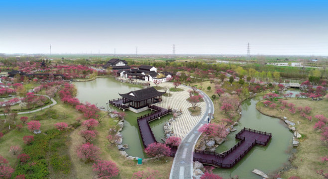 江蘇省鹽城市大豐梅花灣景區(qū)