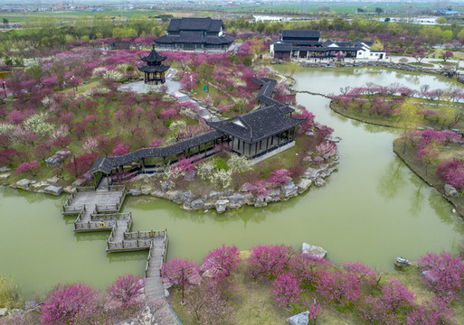 江蘇省鹽城市大豐梅花灣景區(qū)