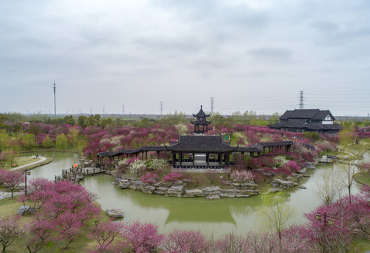 江蘇省鹽城市大豐梅花灣景區(qū)