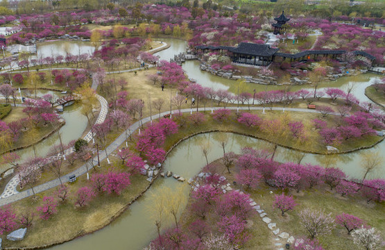 江蘇省鹽城市大豐梅花灣景區(qū)