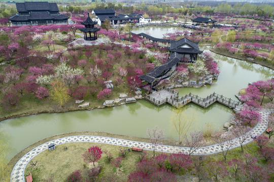 江蘇省鹽城市大豐梅花灣景區(qū)