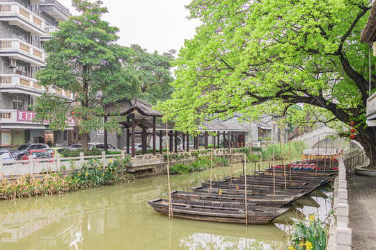 東涌水鄉(xiāng)景色