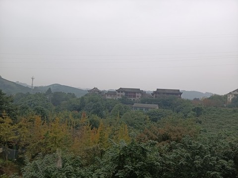 園林景觀