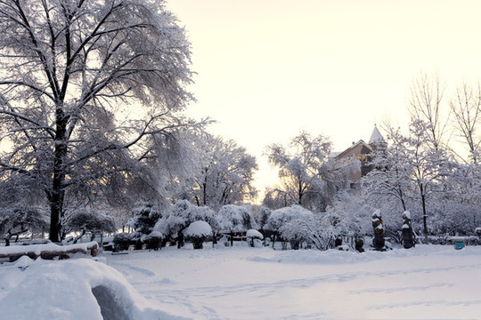 公園雪景