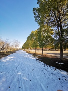 殘雪