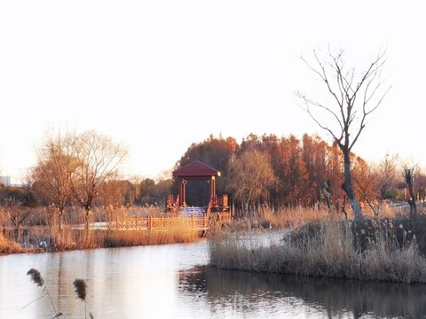 古淮河生態(tài)園