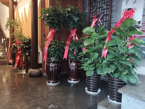 開業(yè)花籃