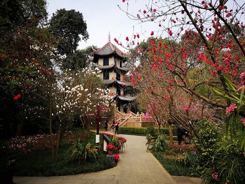 草堂風(fēng)光