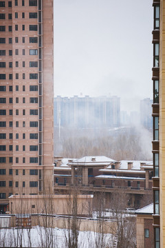 雪景