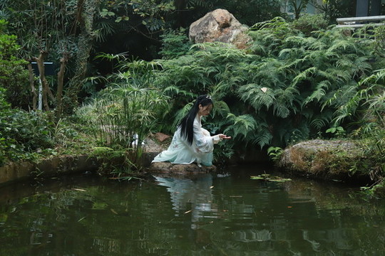 小家碧玉
