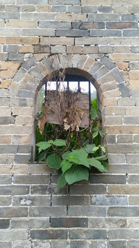 窗