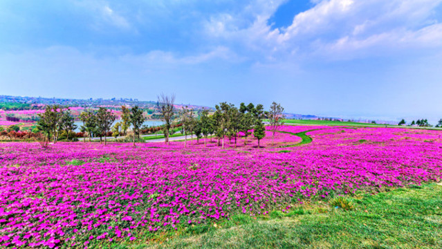 云南彌勒太平湖森林公園