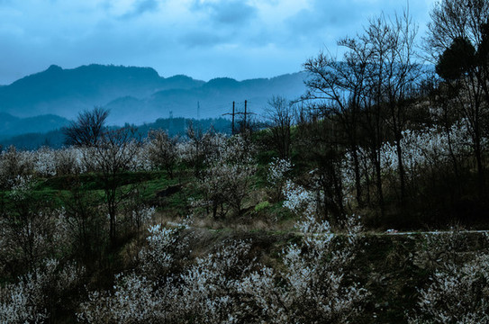 八里村風光
