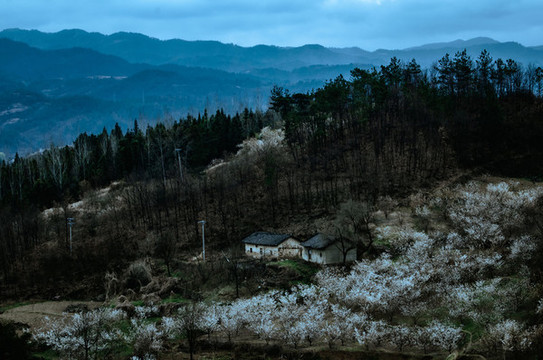 八里村風(fēng)光
