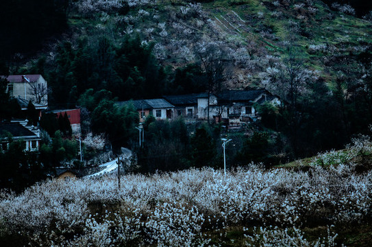 八里旺景色