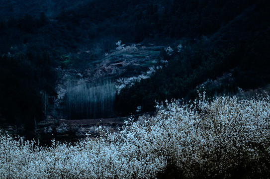 八里旺景色