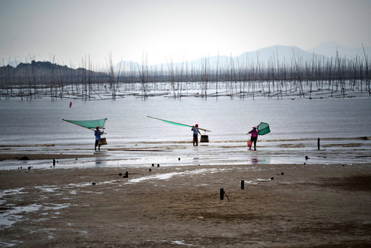 福建霞浦