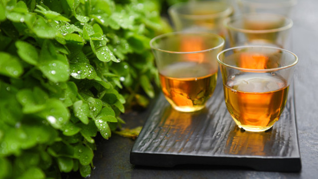 泡好一杯中國茶