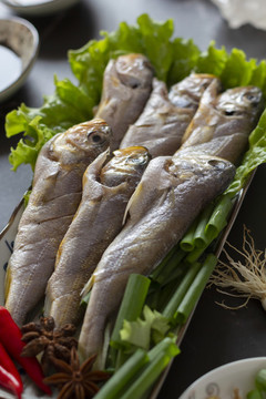 海洋魚類黃花魚