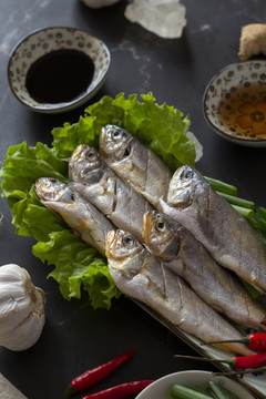 海洋魚(yú)類黃花魚(yú)