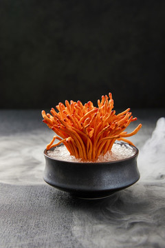 蟲草花