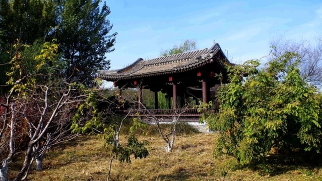 大運河通州森林公園