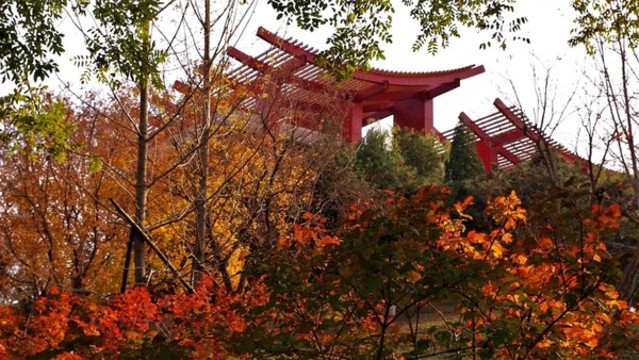 大運(yùn)河通州森林公園