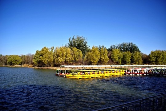 奧林匹克森林公園