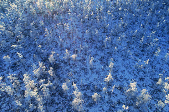 航拍林海雪原霧凇