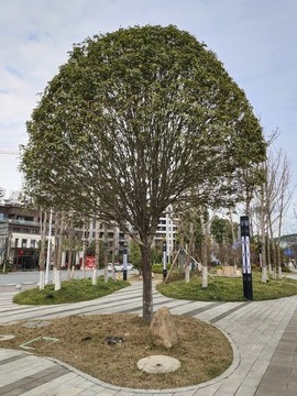 公園游道