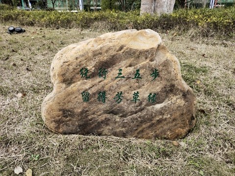花草牌