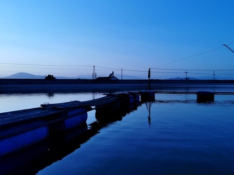 魚(yú)塘棧橋飼養(yǎng)臺(tái)