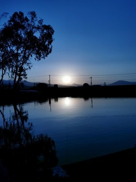 夕陽(yáng)西下水面濕地湖面景觀