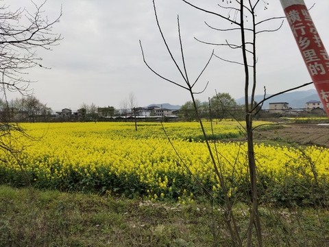 鄉(xiāng)村田園風(fēng)光