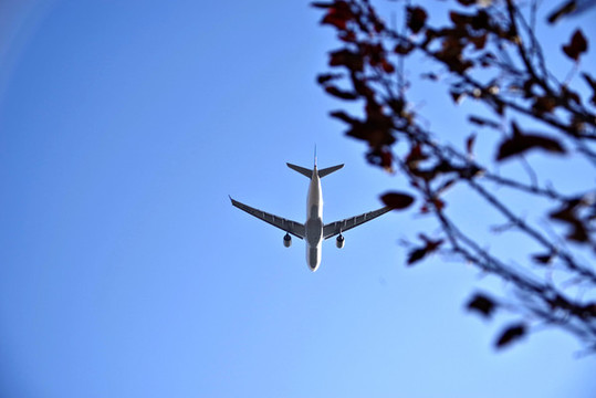 順義西湖園看機場大飛機