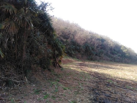 山腳農(nóng)田