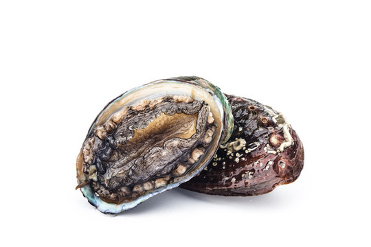 鮑魚
